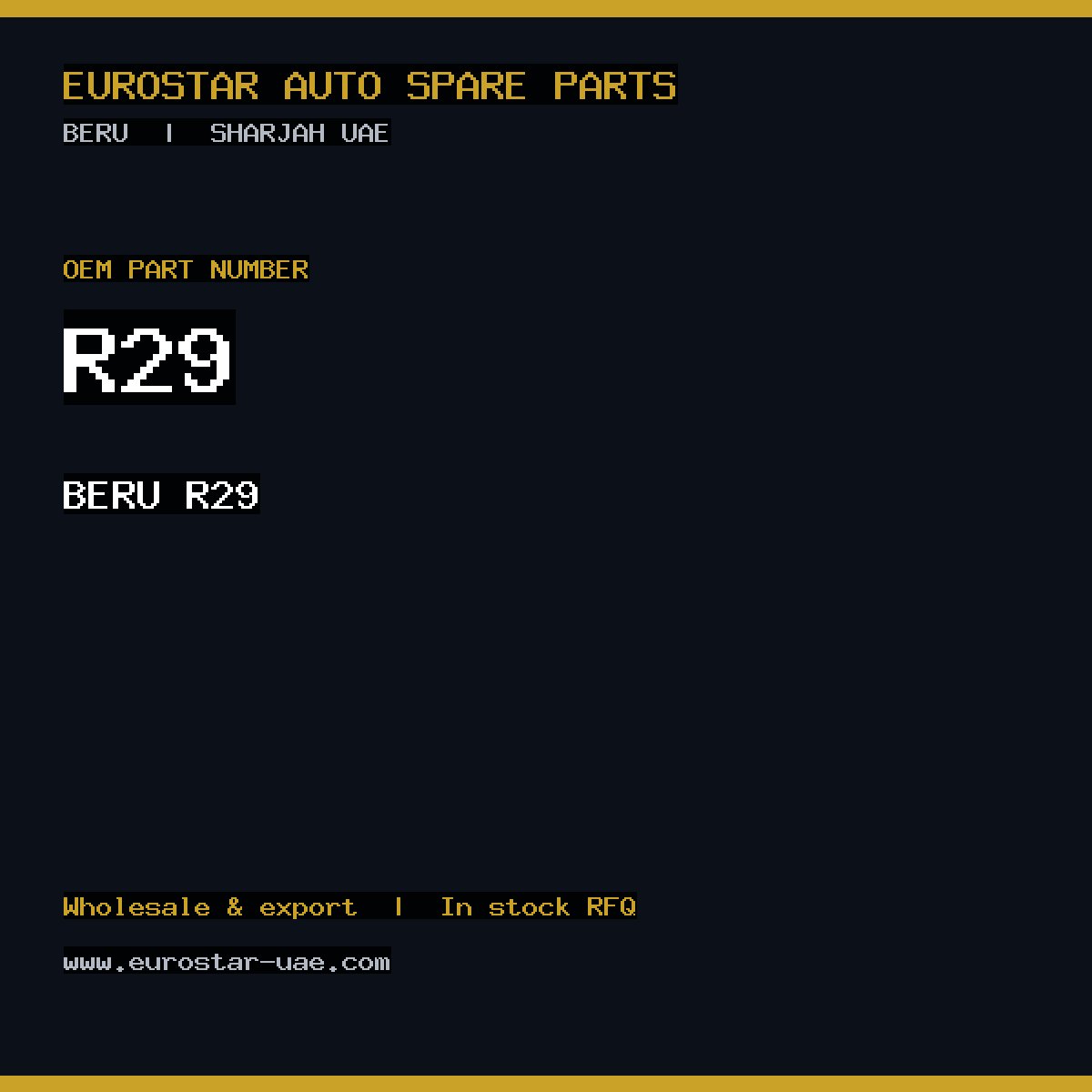 BERU R29